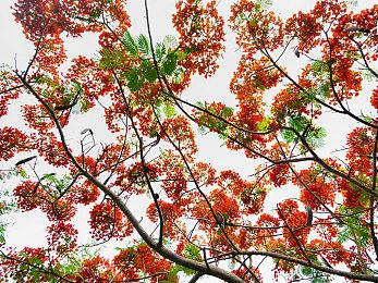 《FOAMSTARS》新赛季宣传影片 3月9日上线