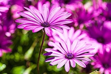 《勇者斗恶龙1&2 HD-2D 重制版》7分钟实机公开